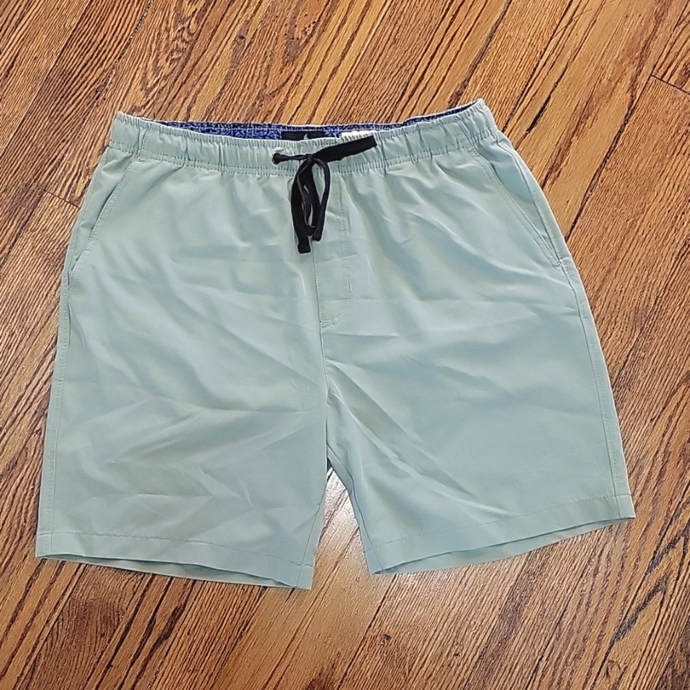 Men's Sage Green Swim Trunks